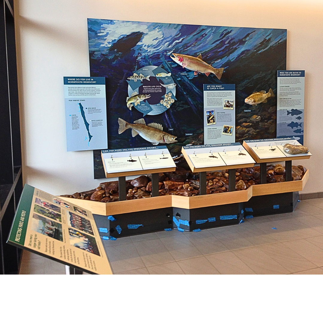 Museum Display Visitors Center Horsetooth